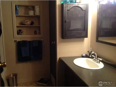 1430 Macpool St, Dacono, CO 80514 photo 9
