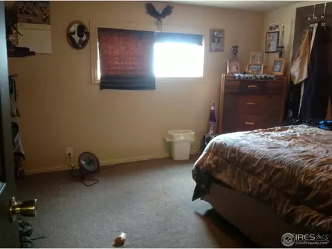 1430 Macpool St, Dacono, CO 80514 photo 10