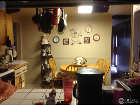 1430 Macpool St, Dacono, CO 80514 photo 4