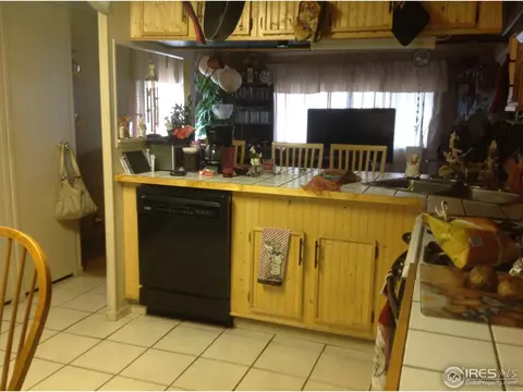 1430 Macpool St, Dacono, CO 80514 photo 3