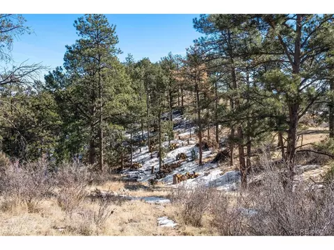 30755 Half Peak Trl, Pine, CO 80470 photo 40