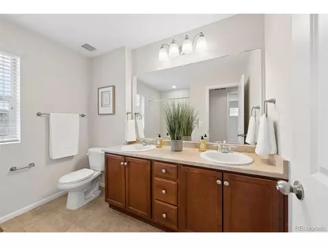 Bath - 10273 Bellwether Ln, Lone Tree, CO 80124 photo 3 of 3