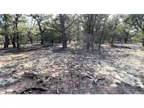 Tbd, Cotopaxi, CO 81223 photo 2