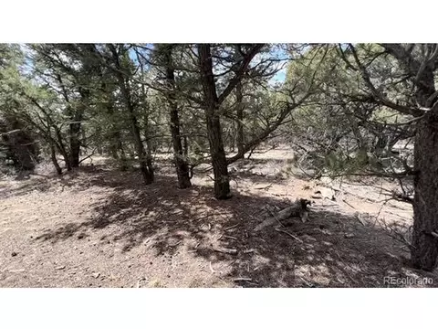 Tbd, Cotopaxi, CO 81223 photo 5