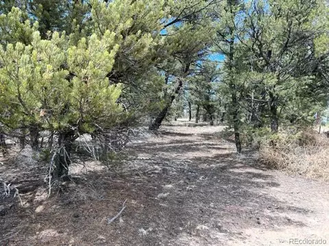 Tbd, Cotopaxi, CO 81223 photo 10