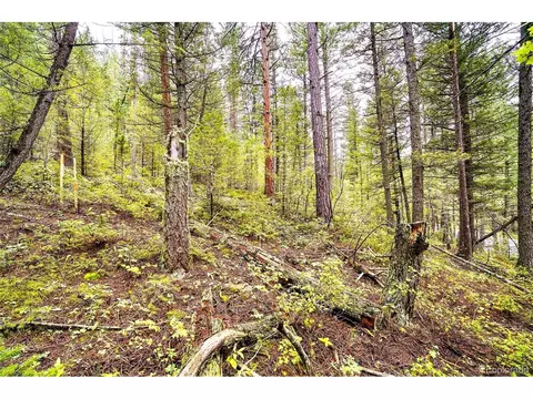 10862 Twin Spruce Rd, Golden, CO 80403