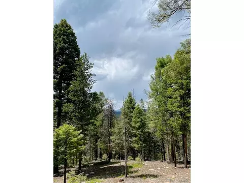 28651 Belle Point Dr, Conifer, CO 80433 photo 18