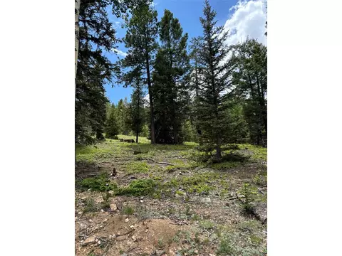 28651 Belle Point Dr, Conifer, CO 80433 photo 11