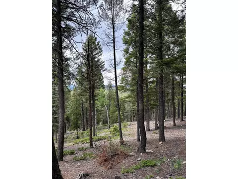 28651 Belle Point Dr, Conifer, CO 80433 photo 10