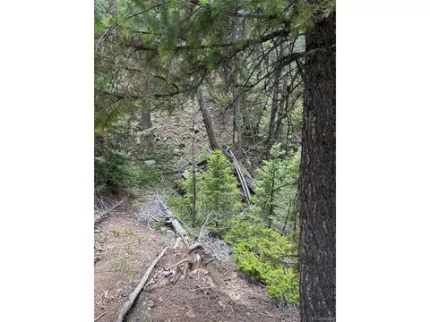28651 Belle Point Dr, Conifer, CO 80433 photo 16