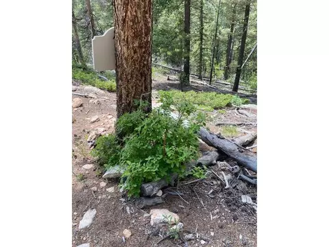 28651 Belle Point Dr, Conifer, CO 80433 photo 20