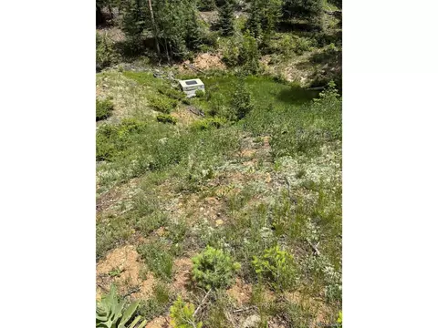 28651 Belle Point Dr, Conifer, CO 80433 photo 12
