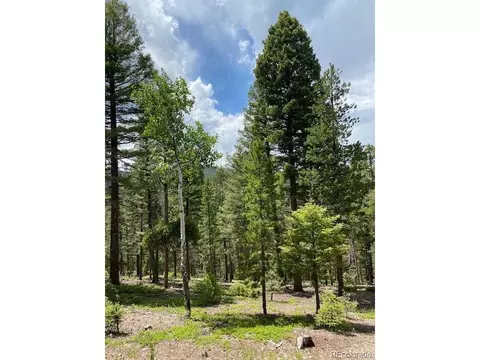 28651 Belle Point Dr, Conifer, CO 80433 photo 19