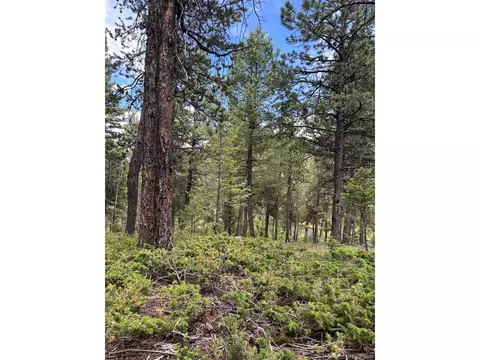 28651 Belle Point Dr, Conifer, CO 80433 photo 13