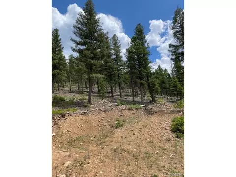 28651 Belle Point Dr, Conifer, CO 80433 photo 22