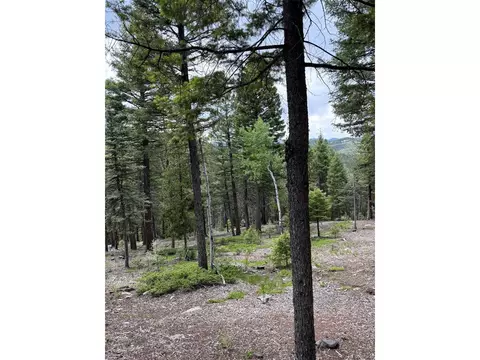28651 Belle Point Dr, Conifer, CO 80433 photo 8