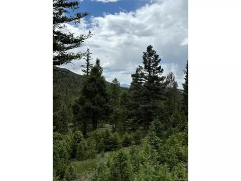 28651 Belle Point Dr, Conifer, CO 80433 photo 6