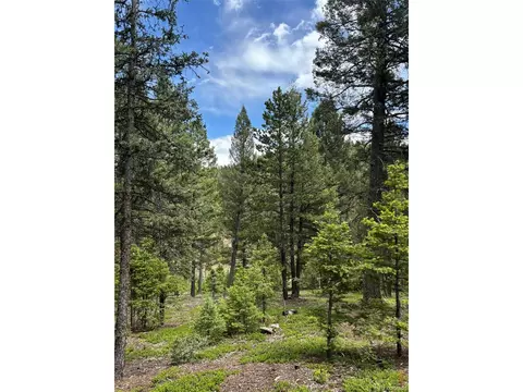 28651 Belle Point Dr, Conifer, CO 80433 photo 14