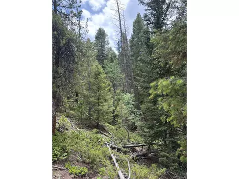 28651 Belle Point Dr, Conifer, CO 80433 photo 17