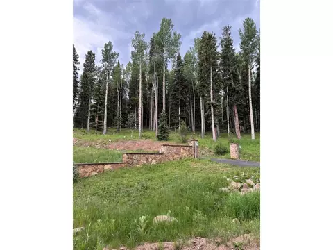 28651 Belle Point Dr, Conifer, CO 80433 photo 2