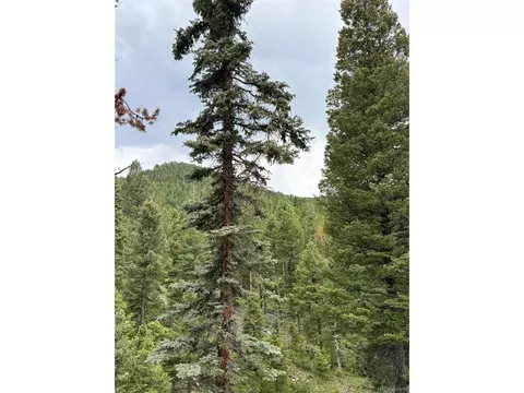 28651 Belle Point Dr, Conifer, CO 80433 photo 5