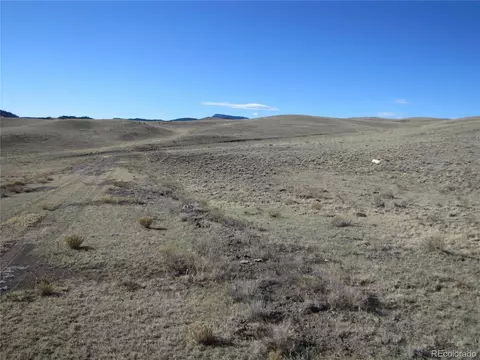 4523 Black Beaver Cir, Hartsel, CO 80449 photo 3