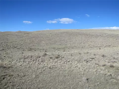 4523 Black Beaver Cir, Hartsel, CO 80449 photo 4