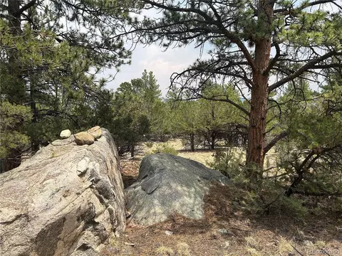 30160 Princeton Cir, Buena Vista, CO 81211