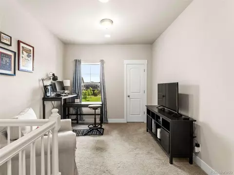 10299 E 57th Ave, Denver, CO 80238 photo 20