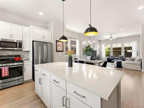 10299 E 57th Ave, Denver, CO 80238 photo 10