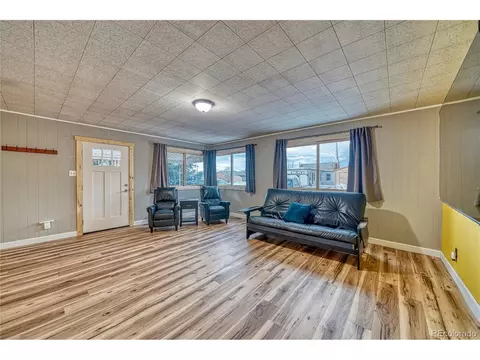205 E 5th St, Leadville, CO 80461
