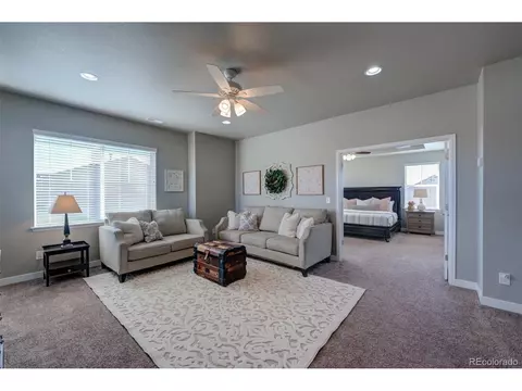 8903 Forest St, Firestone, CO 80504 photo 23