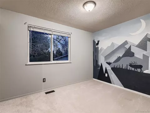3860 E 114th Dr, Thornton, CO 80233 photo 20