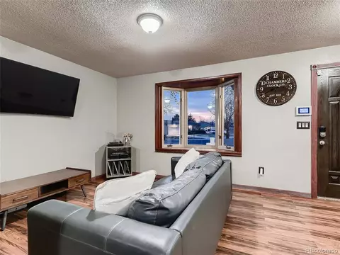 3860 E 114th Dr, Thornton, CO 80233 photo 7