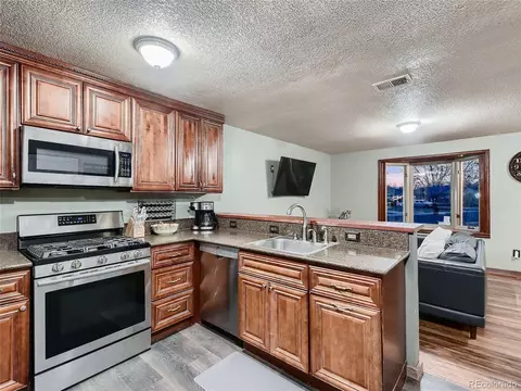 3860 E 114th Dr, Thornton, CO 80233 photo 15
