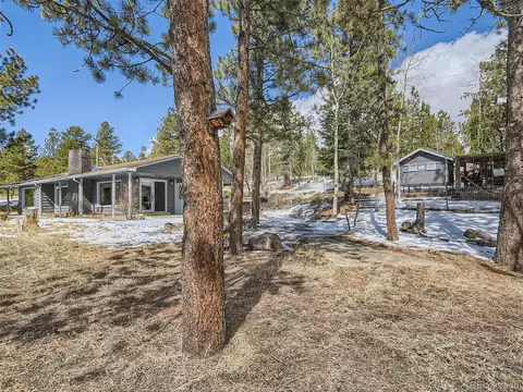 99 Royal Ct, Bailey, CO 80421 photo 5