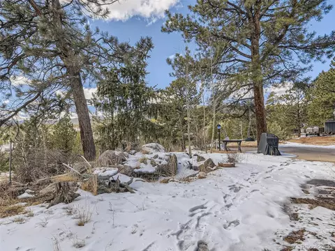 99 Royal Ct, Bailey, CO 80421 photo 24