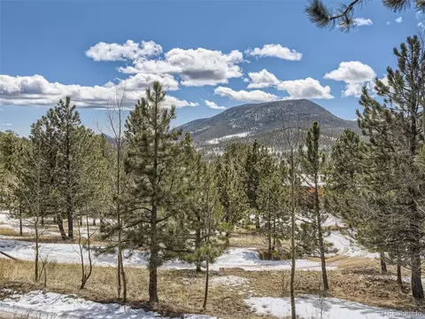 99 Royal Ct, Bailey, CO 80421 photo 28