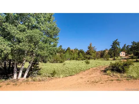 245 Pine Ln, Hartsel, CO 80449