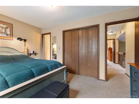 70 Hawn Dr, Frisco, CO 80443 photo 21