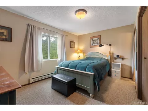 70 Hawn Dr, Frisco, CO 80443 photo 20