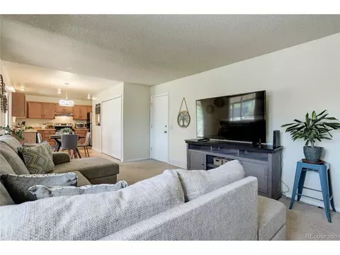 18038 E Bails Pl, Aurora, CO 80017 photo 21