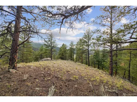 Brynmawr Rd, Pine, CO 80470 photo 31