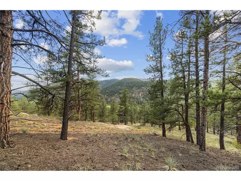 Brynmawr Rd, Pine, CO 80470 photo 29