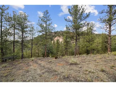 Brynmawr Rd, Pine, CO 80470 photo 30