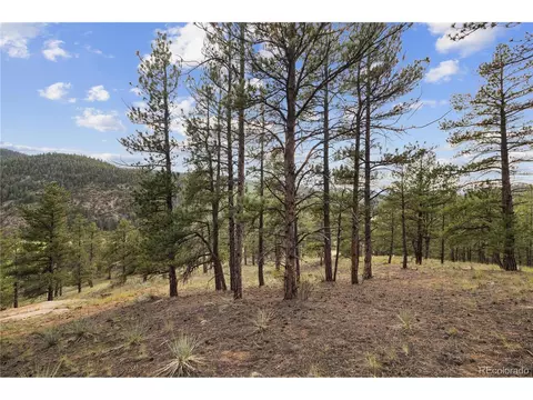 Brynmawr Rd, Pine, CO 80470 photo 28