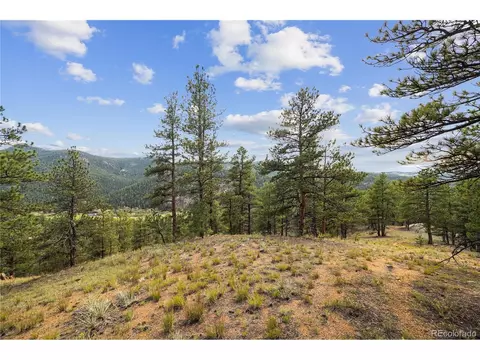 Brynmawr Rd, Pine, CO 80470 photo 36