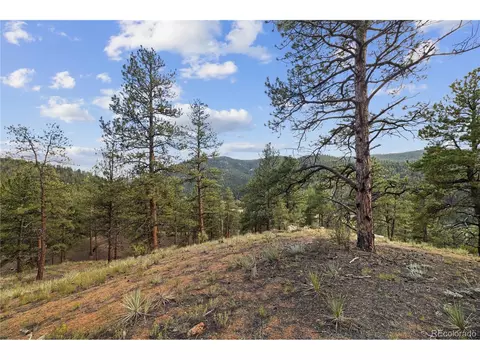 Brynmawr Rd, Pine, CO 80470 photo 33