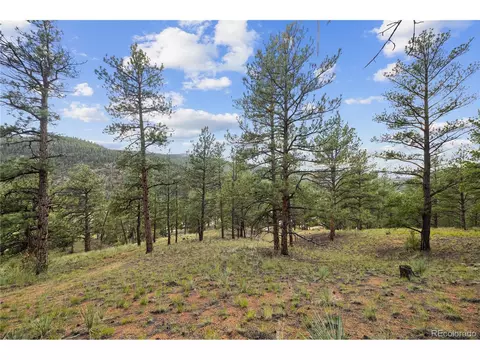 Brynmawr Rd, Pine, CO 80470 photo 27