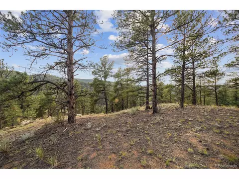 Brynmawr Rd, Pine, CO 80470 photo 32